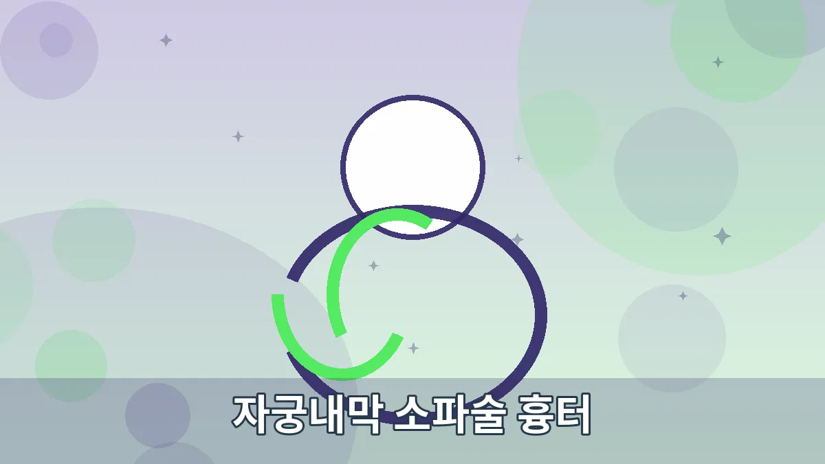 자궁내막 소파술 흉터 안내 이미지
